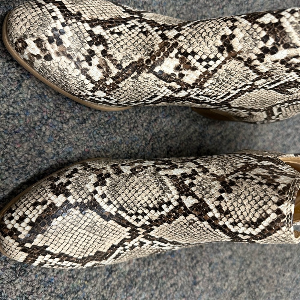 Brand new snakeskin booties